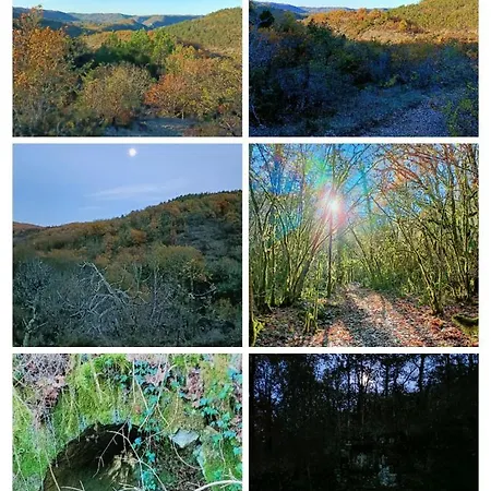 L'etoile De Zakiel *