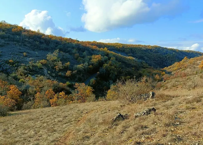 L'etoile De Zakiel Cambayrac