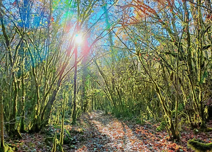 Σπίτι διακοπών L'etoile De Zakiel *