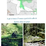 Feriehus L'etoile De Zakiel Cambayrac