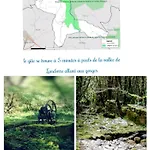 Сasa de vacaciones L'étoile De Zakiel *