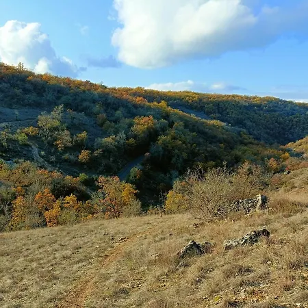 L'etoile De Zakiel Cambayrac