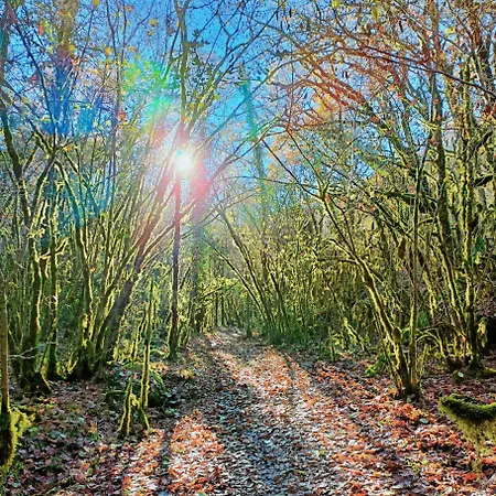 Tatil Evi L'etoile De Zakiel *