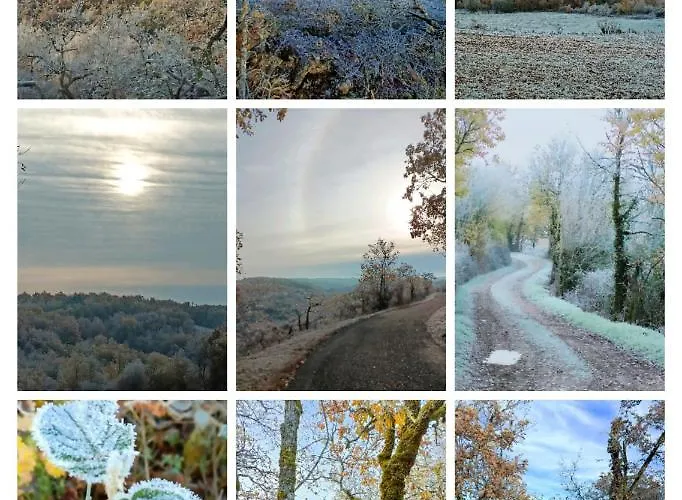 L'etoile De Zakiel * Cambayrac