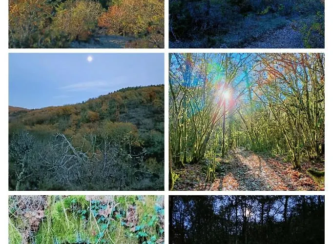 L'etoile De Zakiel *